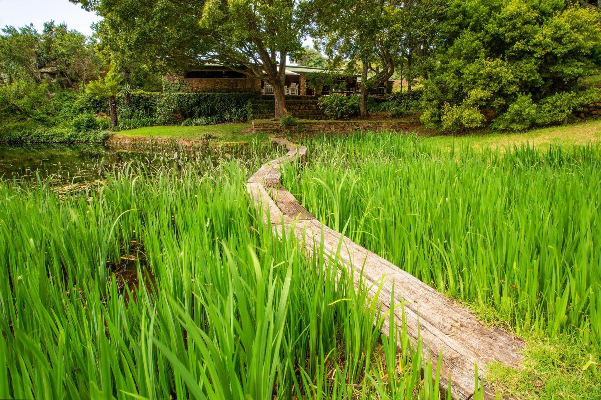 Paardeplaats Nature Retreat Rhenosterhoek Luaran gambar